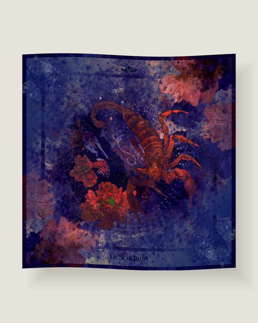 Carré Scorpion – Image 5