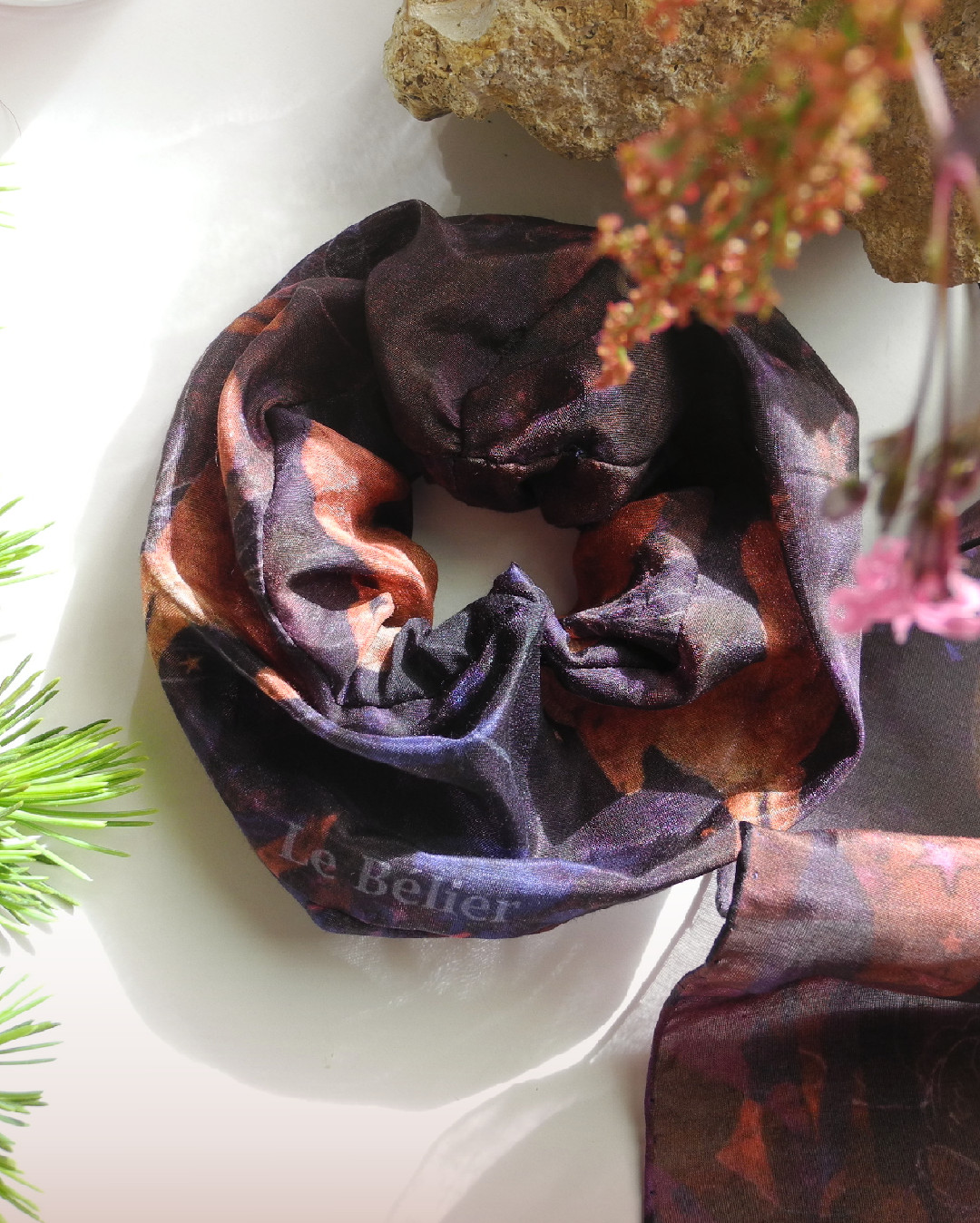 Chouchou Bélier – Image 4