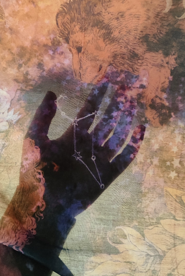 Carré Lion – Image 7